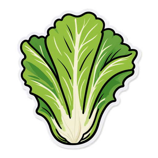 Romaine Lettuce sticker illustration